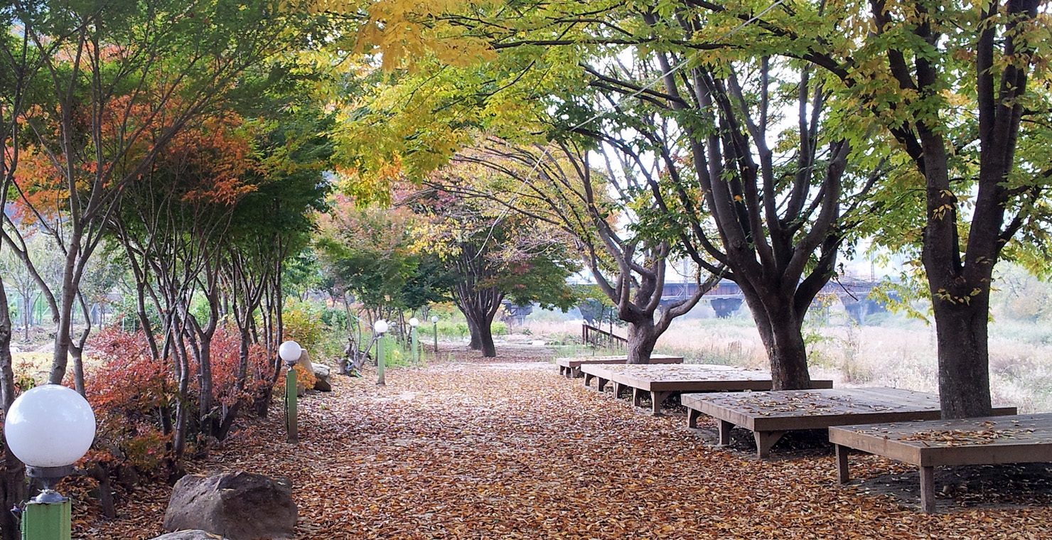 가을 가로수길